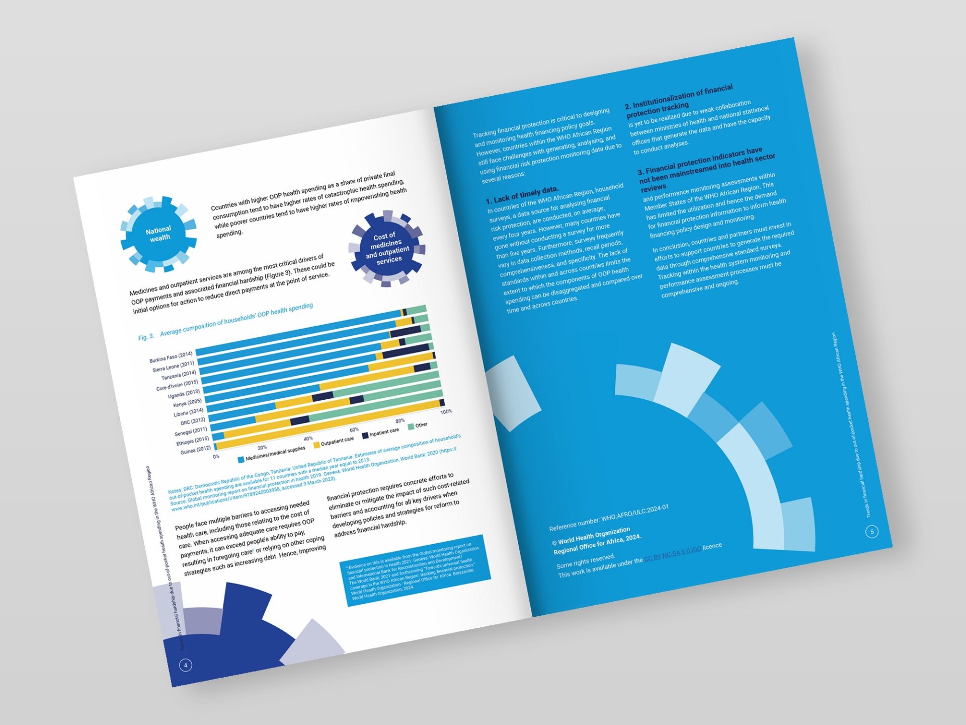 WHO Country Brief – Typography and Print-Ready Layout Inner page and back cover with consistent typography, print-ready CMYK layout
